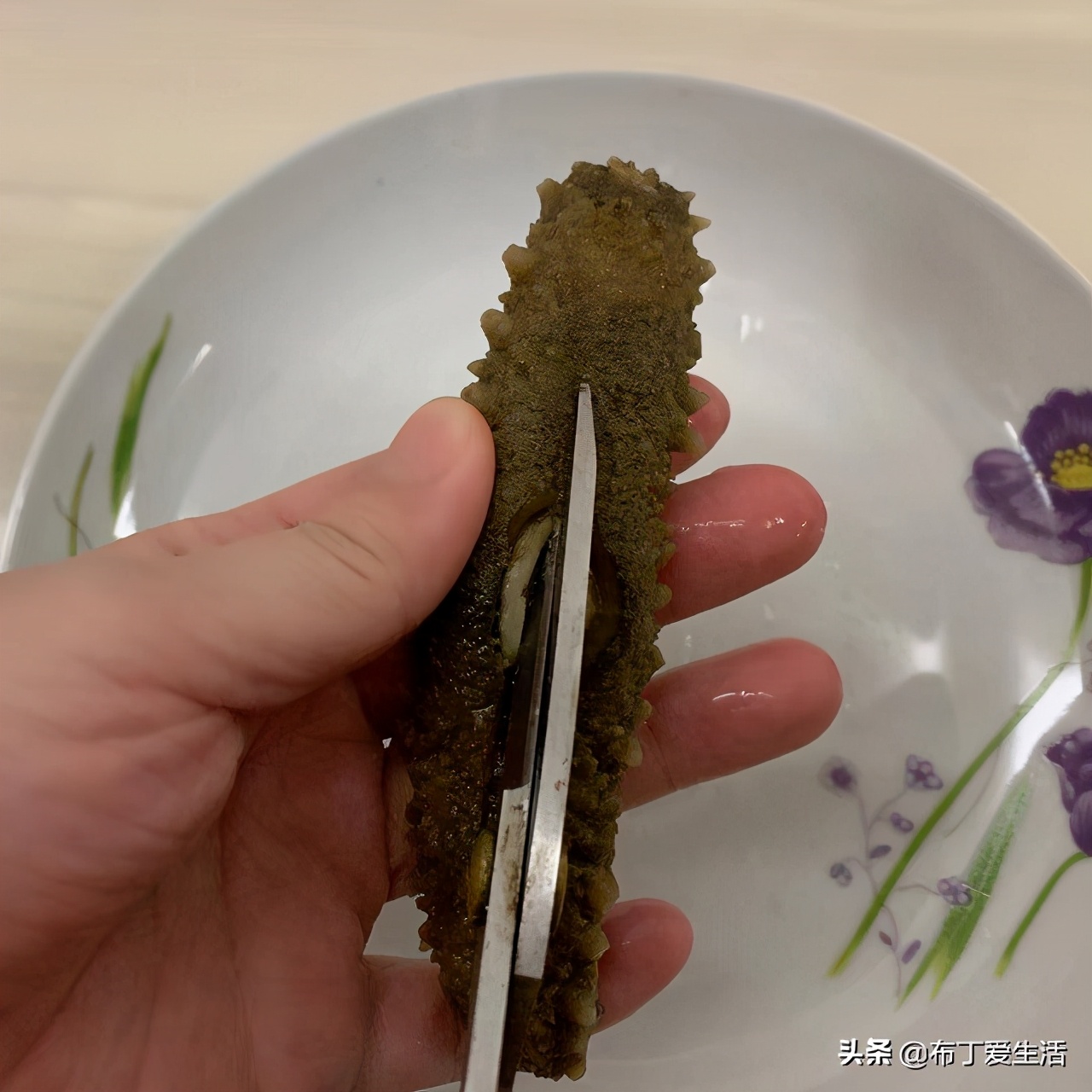 自己发海参的正确方法,海参的正确发制方法建议收藏