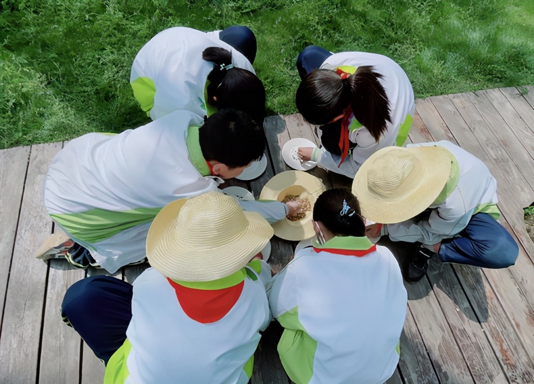 小学劳动实践研学活动总结,小学开展劳动教育研学实践活动