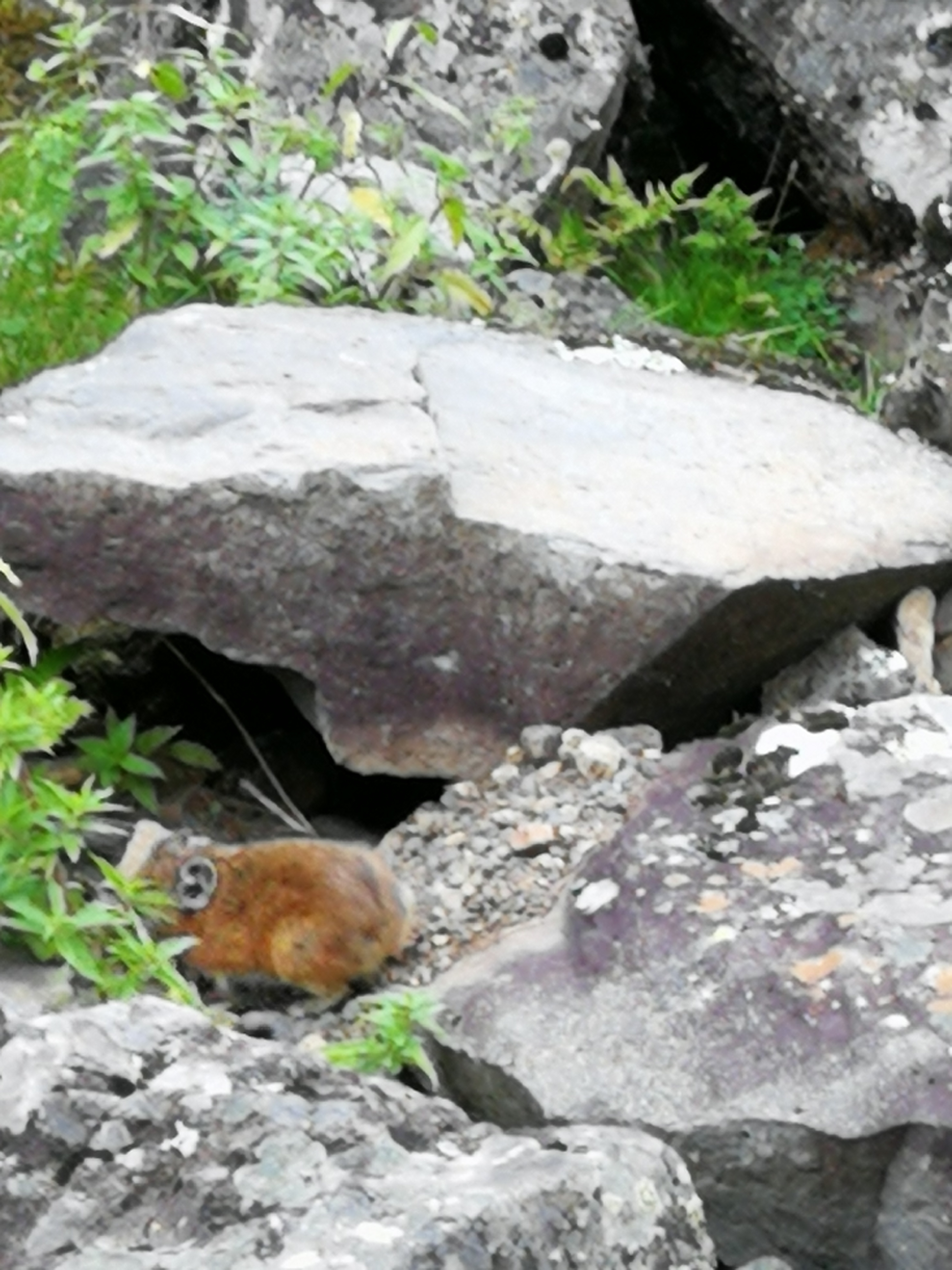 北京游阿尔山路线攻略,北京阿尔山旅游自由行攻略