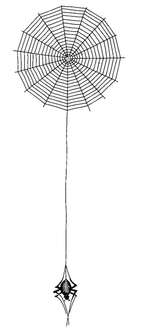 中国吉祥传统图案的故事,十大民间传统吉祥寓意图案