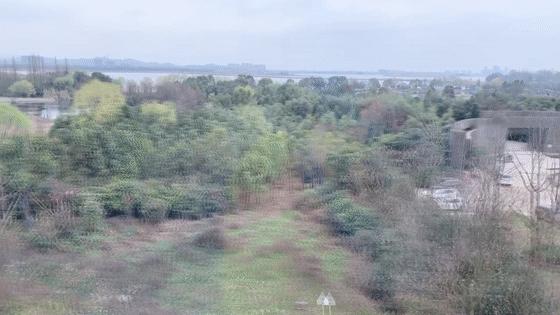 杭州地铁16号线出站,杭州地铁16号线东延