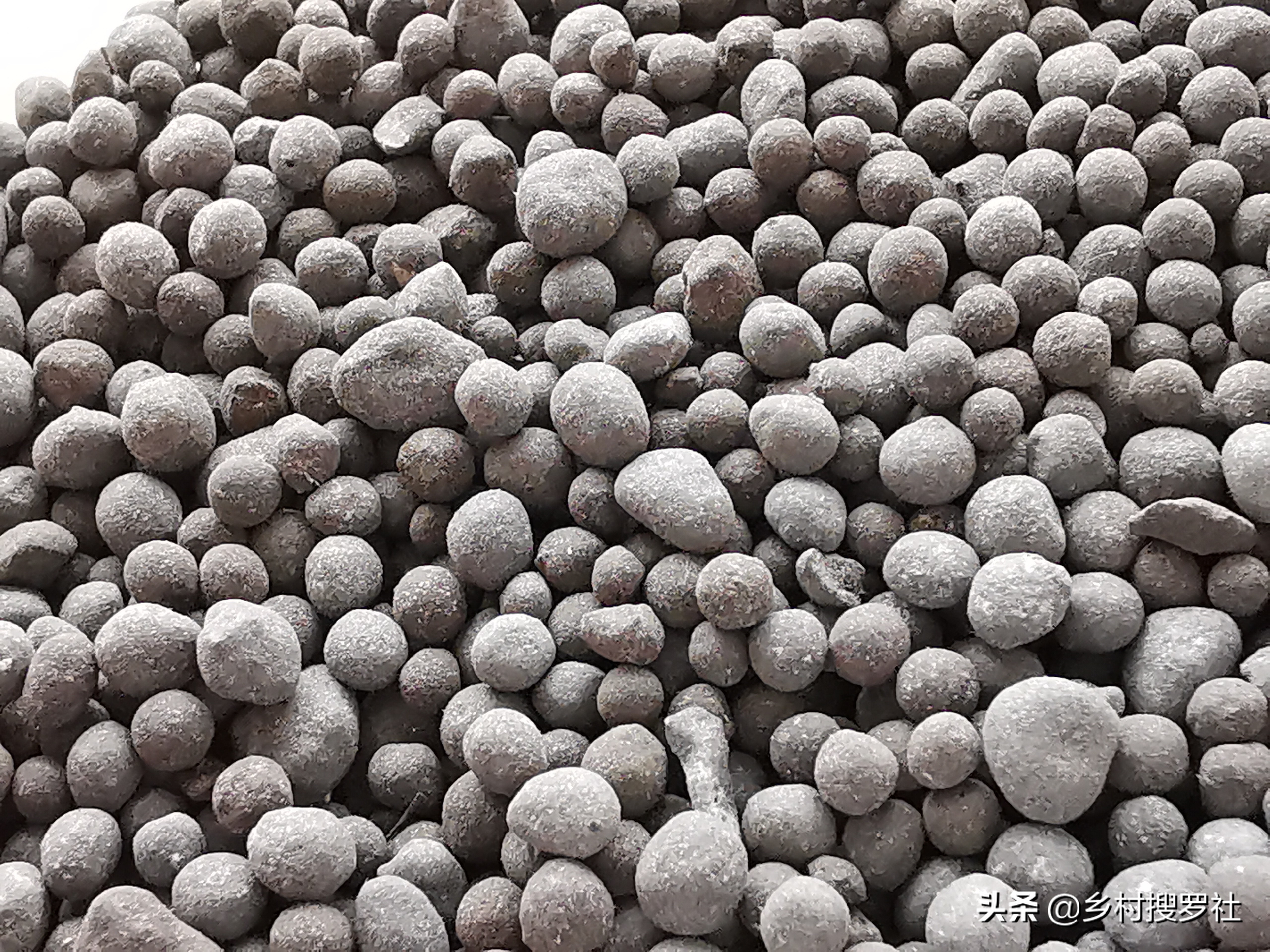 兰花施肥用什么肥料,兰花怎么施肥用什么肥料