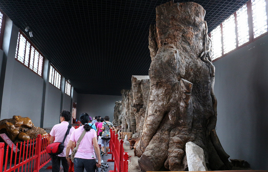 蓬莱人间仙境美景,绝美的人间仙境可遇不可求视频