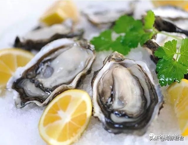 在新西兰奥克兰购物攻略,新西兰奥克兰旅游攻略最全