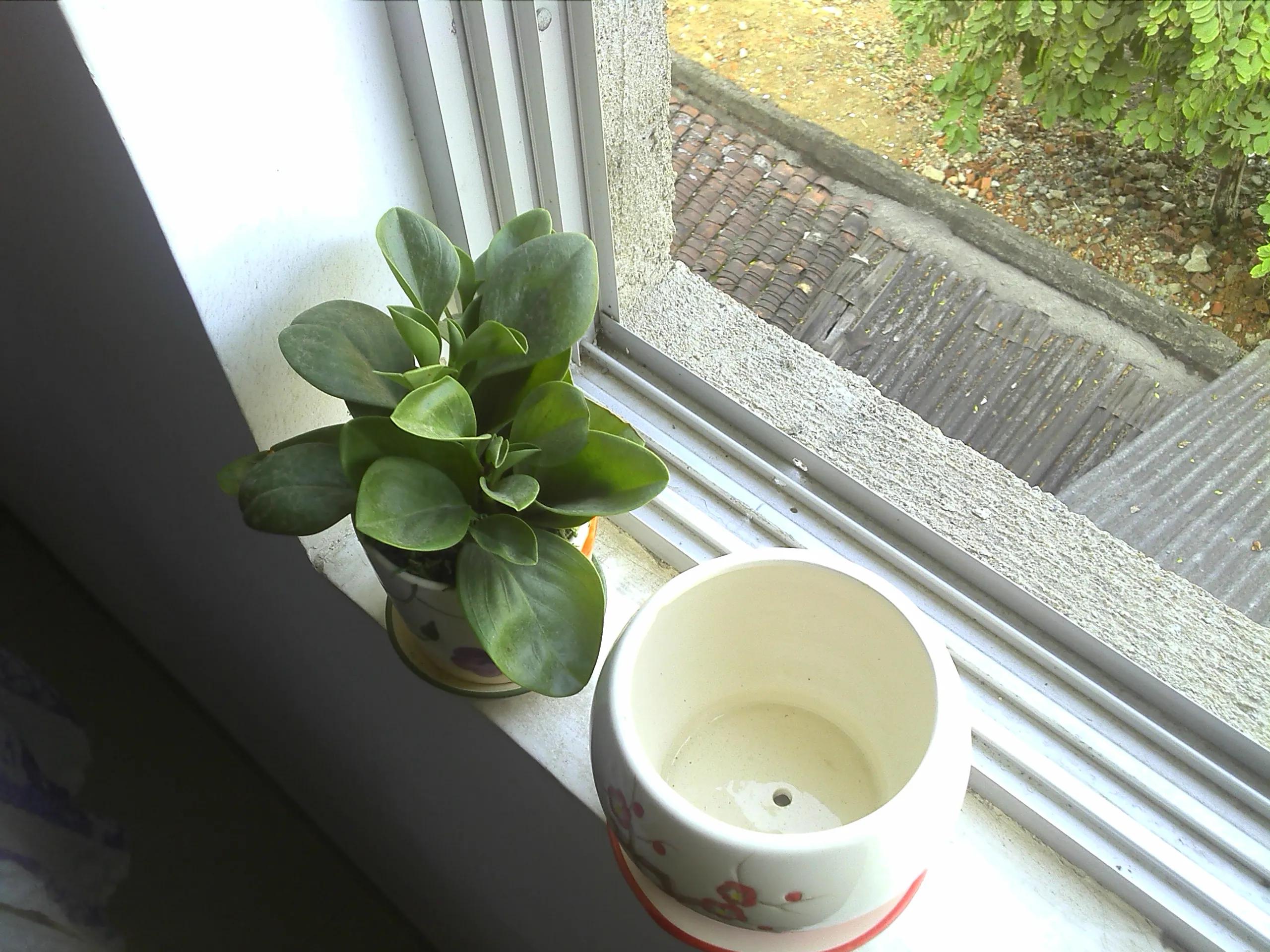 曾经特别火的拍照手机,那些年的拍照手机