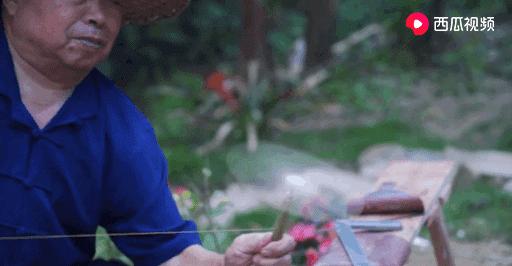 西瓜视频独家签约创作人阿木爷爷，被央视新闻联播点赞了