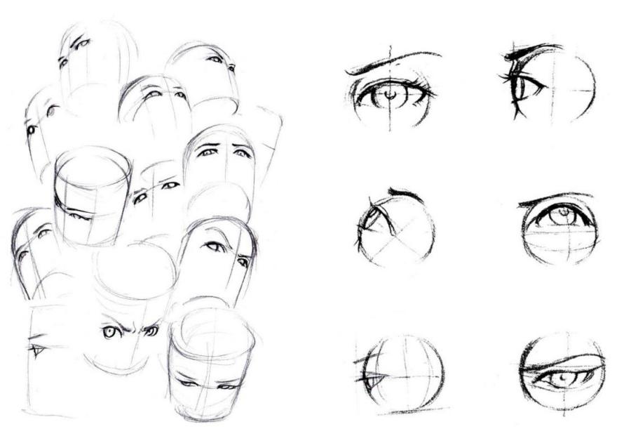 零基础人物脸的画法,人体五官细节该怎么画