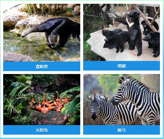 佛山亲子游玩团购推荐,佛山亲子套票一大一小