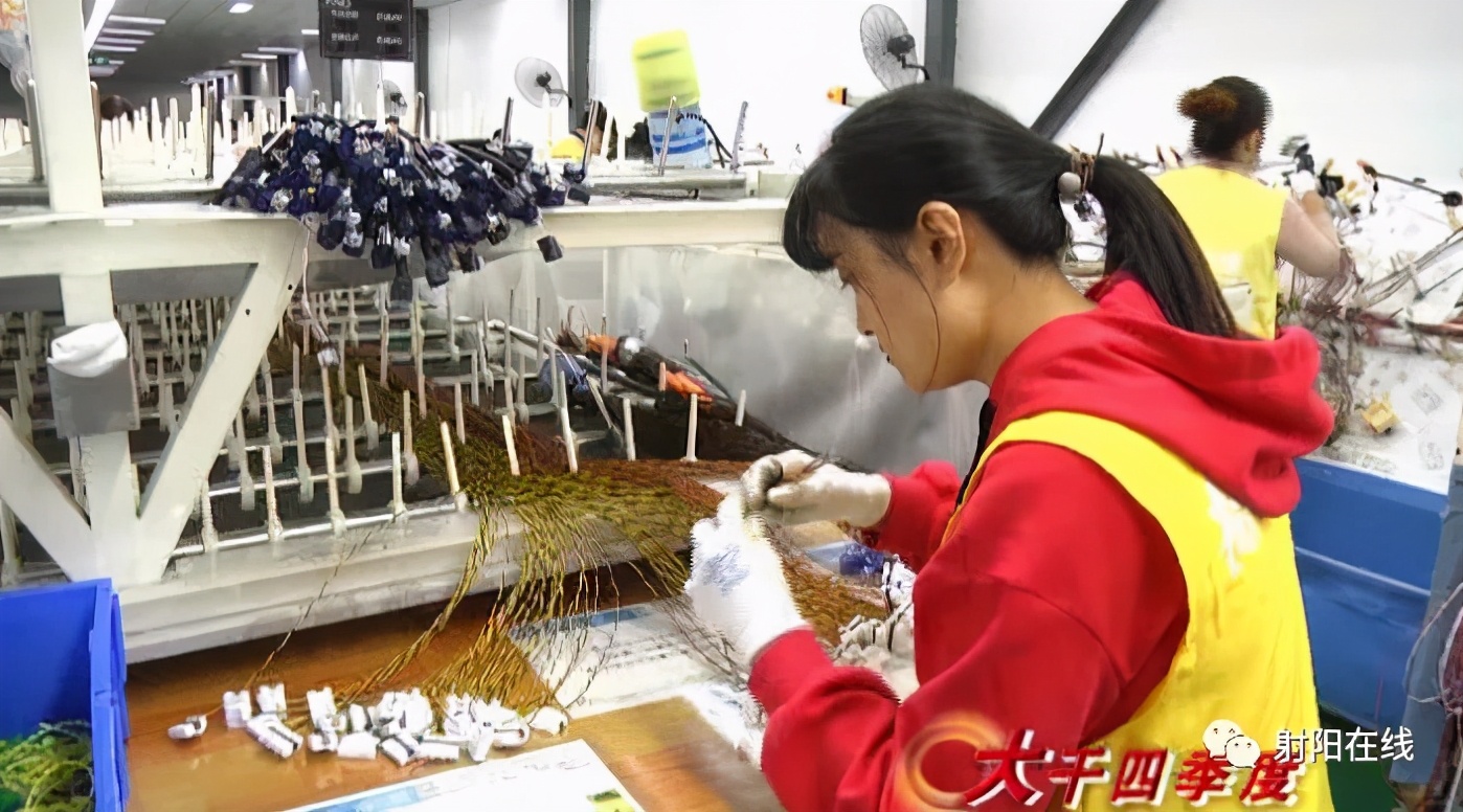 聚焦核心业务的优势,聚焦关键产品持续攻关核心技术