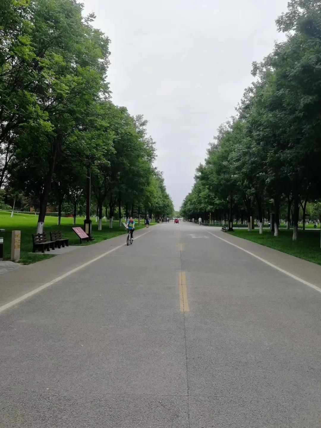 探寻西安大明宫国家遗址公园攻略,西安的大明宫遗址公园