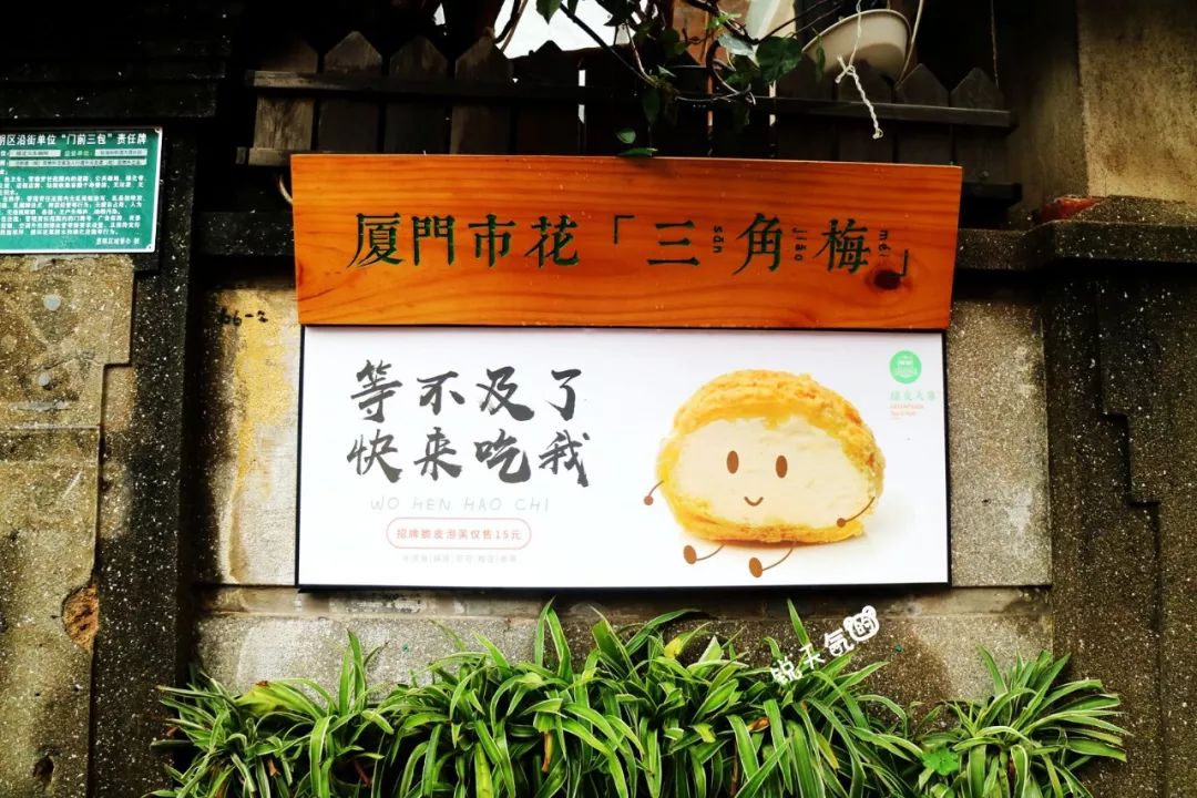 不一样的厦门,不一样的厦门环岛路