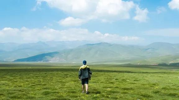 高考满分作文网友评价奇才,高考满分作文震惊世人