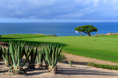 期待吧！某一天，您将在一个封闭的生态圈中自由自在的生活
