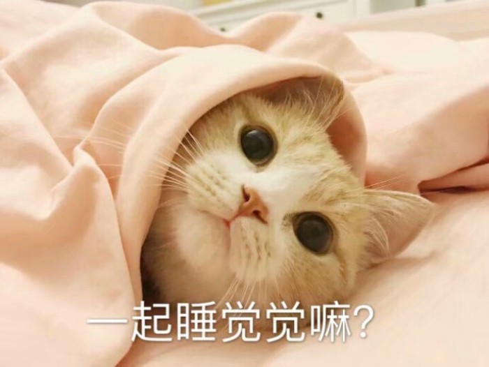猫咪可以吃哪些植物,猫咪可以吃什么蔬菜化毛