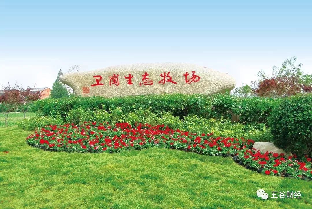 养好牛是乳业高品质的前提卫岗乳业董事长提出“四鲜”解决方案