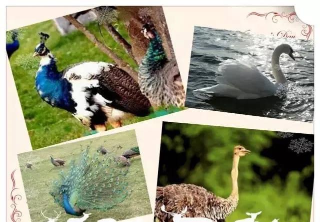 沸水何处觅芳踪？西游记里，白水湖边，灵秀呼之欲出