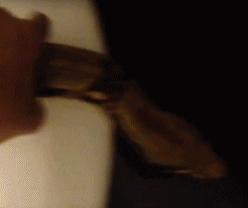 nba球星那些骚操作,nba球员那些骚操作