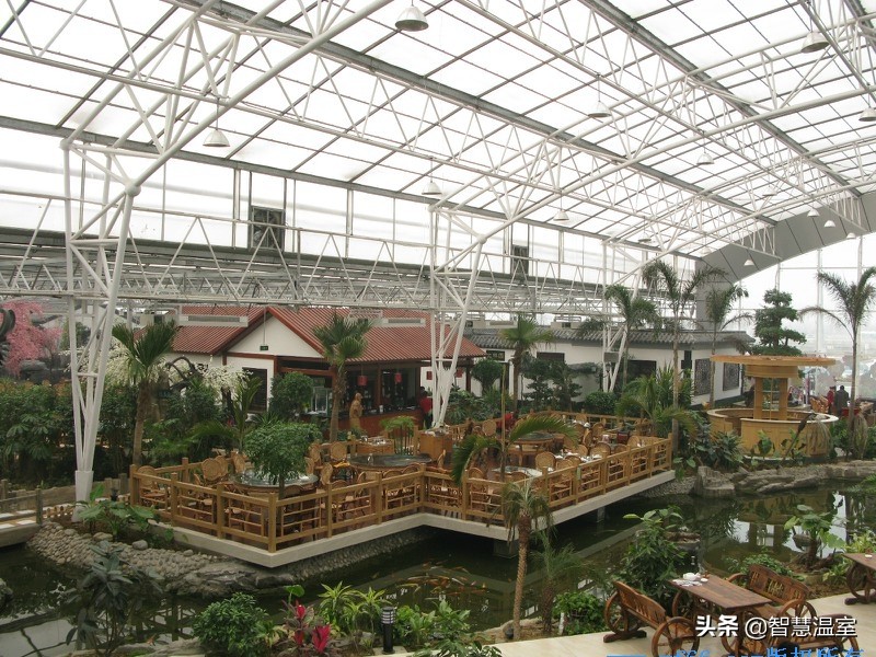 温室大棚生态餐厅合法吗,大棚绿色生态餐厅设计