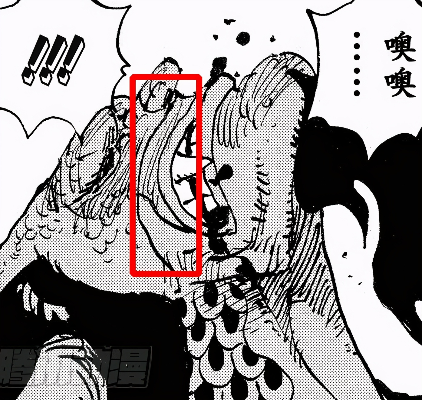 海贼王1010话最新情报,海贼王1014话完整版免费观看