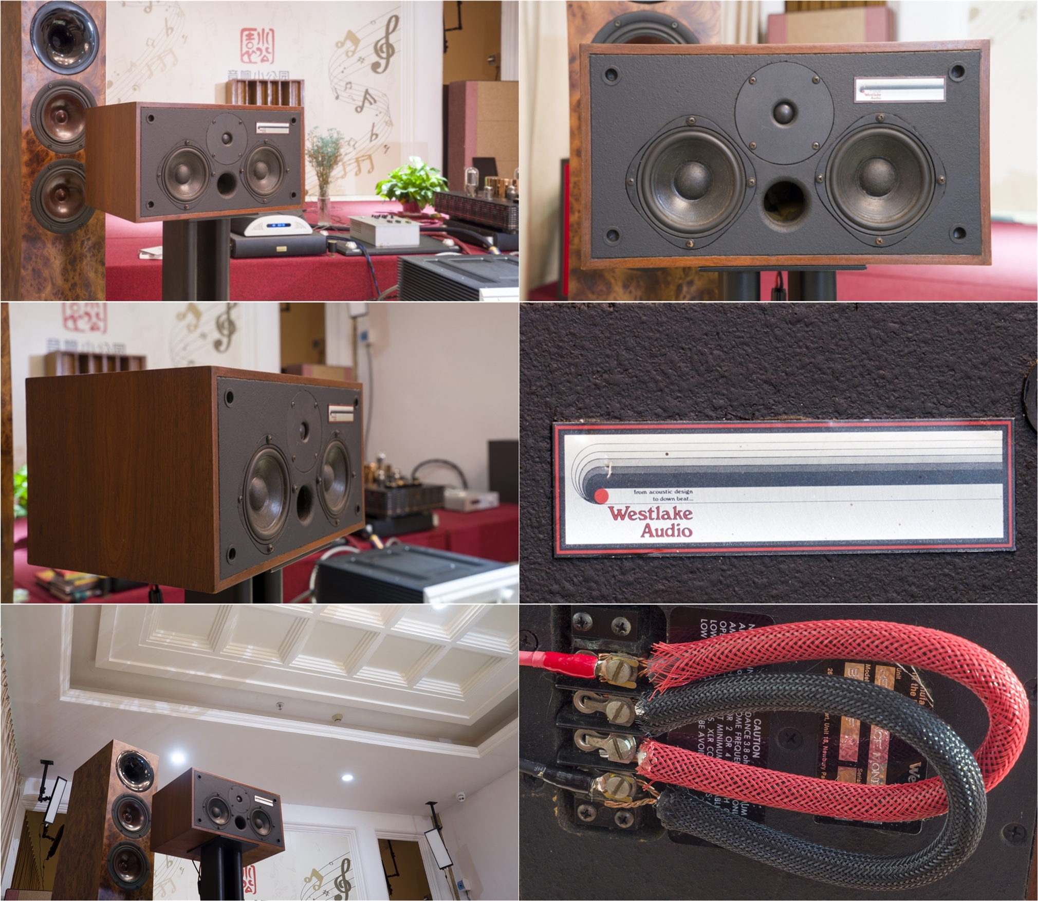 闊充箰浼犵湡nu-vista800娴嬭瘎,闊充箰浼犵湡nu800鍔熸斁鎼厤闊崇