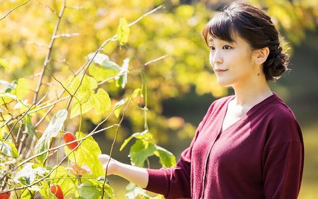 日本王室真子公主,日本真子公主终于要出嫁