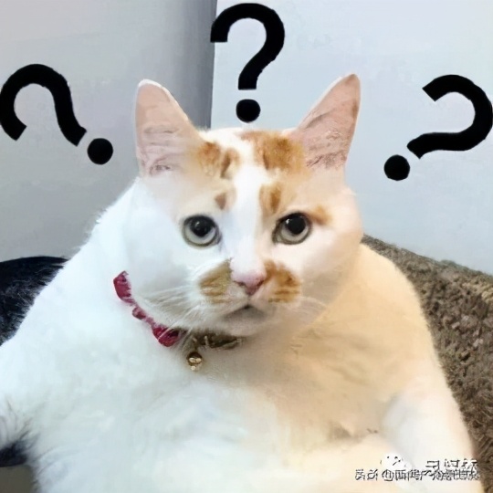 泉州：遭遇不请自来的产后回访市民：我好像被“套路”了…