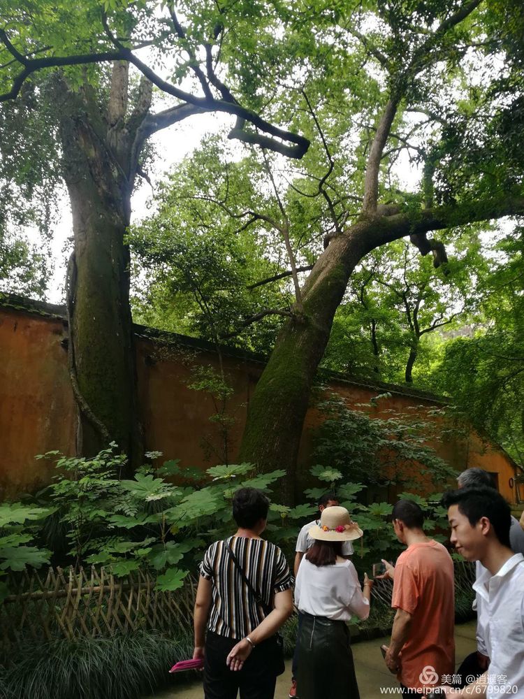 台州天台山国清寺要门票吗,天台山国清寺旅游攻略