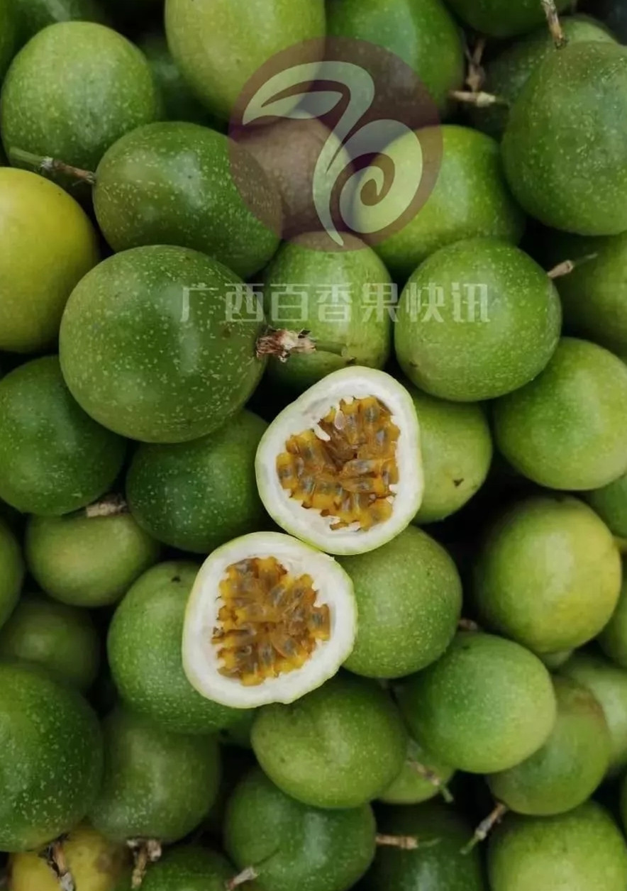黄金百香果吃多了会有什么副作用,福建黄金百香果跟云南黄金百香果