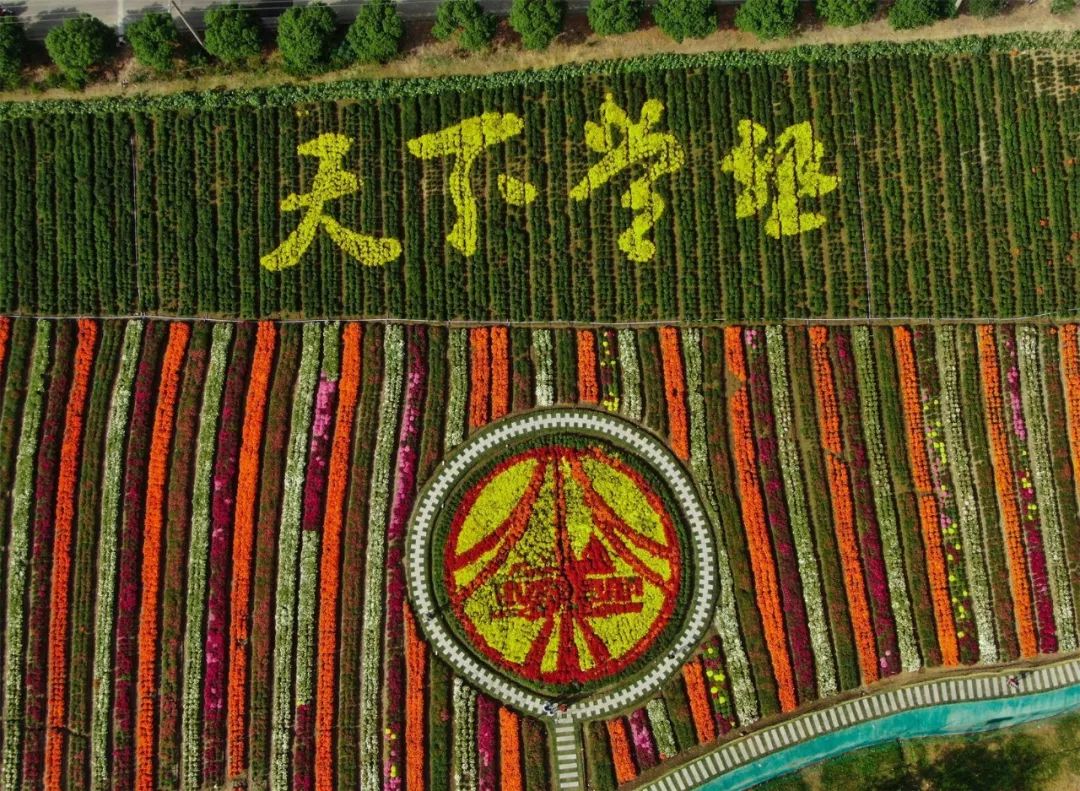 一入秋西安就美成长安,一入秋杭州就美成临安