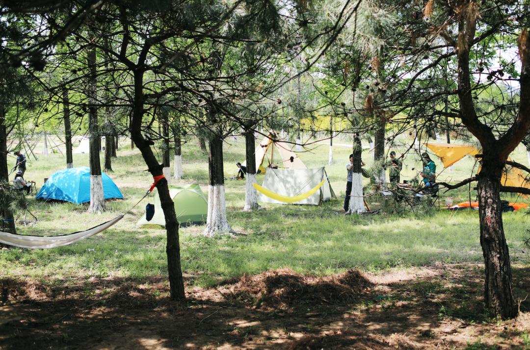 bushcraft体验,bushcraft什么意思