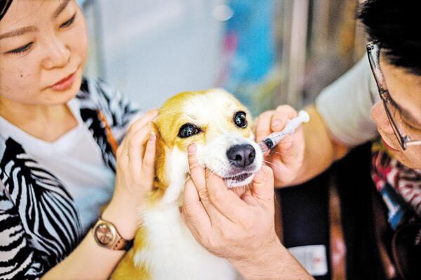 未来最有发展前途的大学专业,这几个冷门专业就业前景非常不错