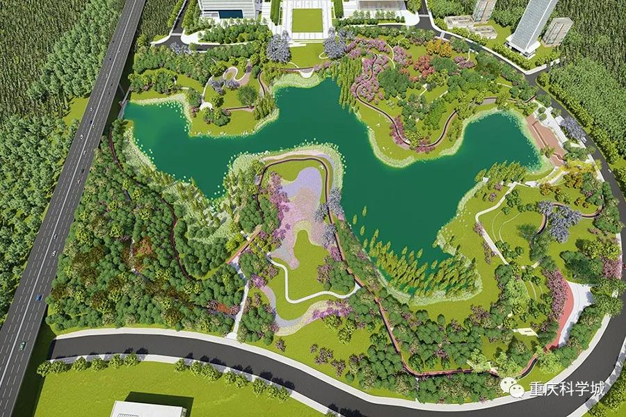 大型绿地公园,25万平方人工湖