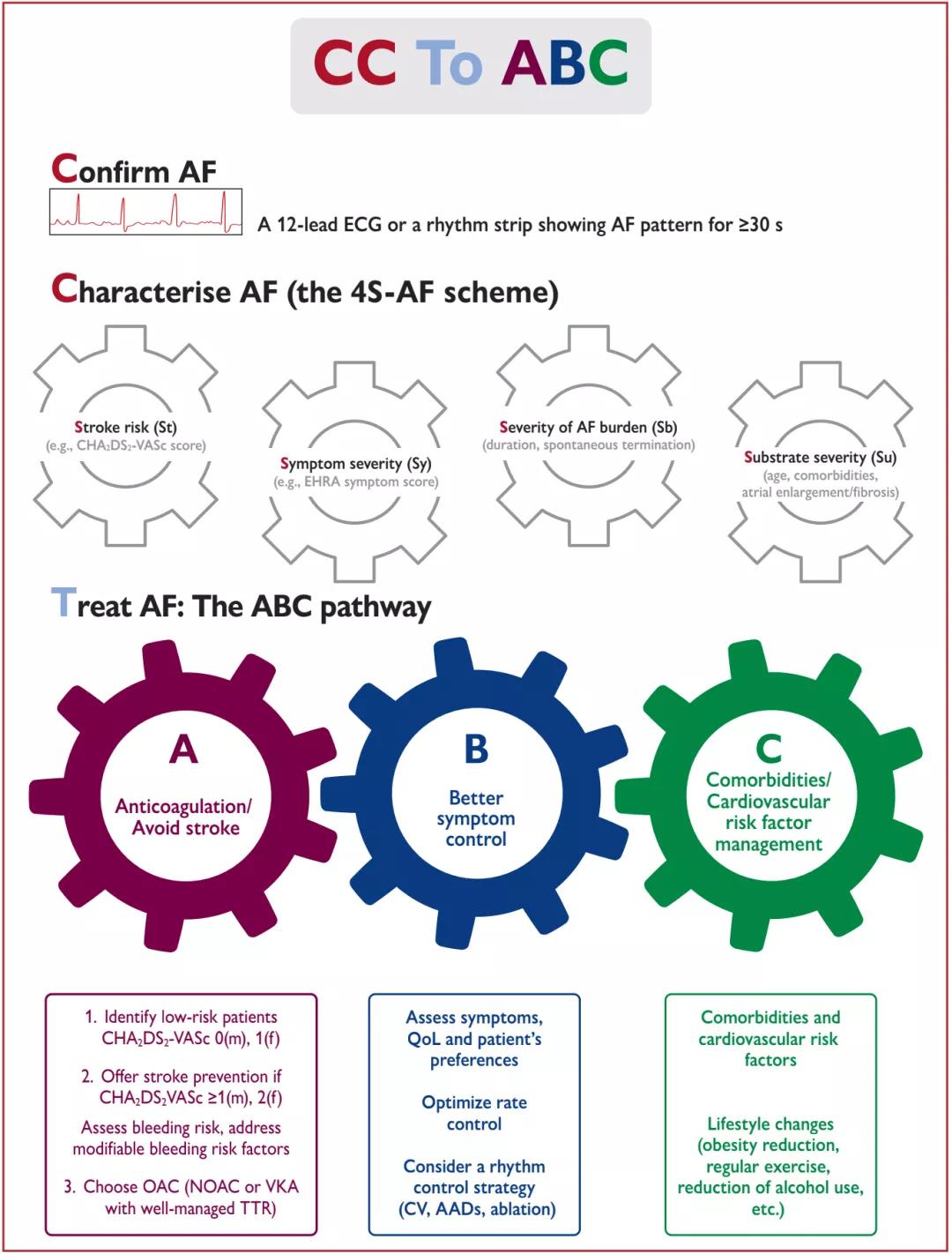 2020年欧洲心脏病学会房颤指南,国际最新房颤标准