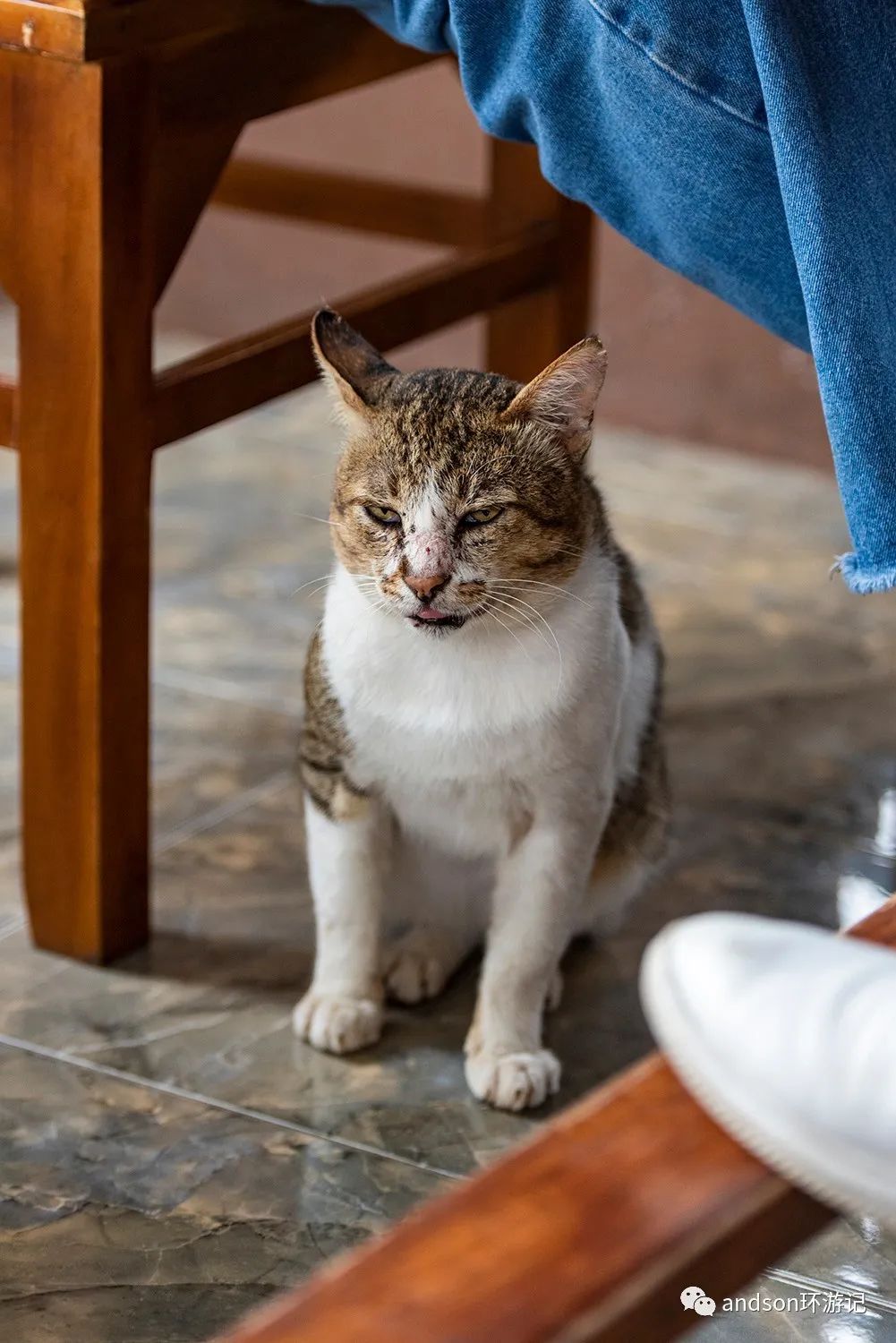 印尼你好怎么发音,印尼歌曲你好傻