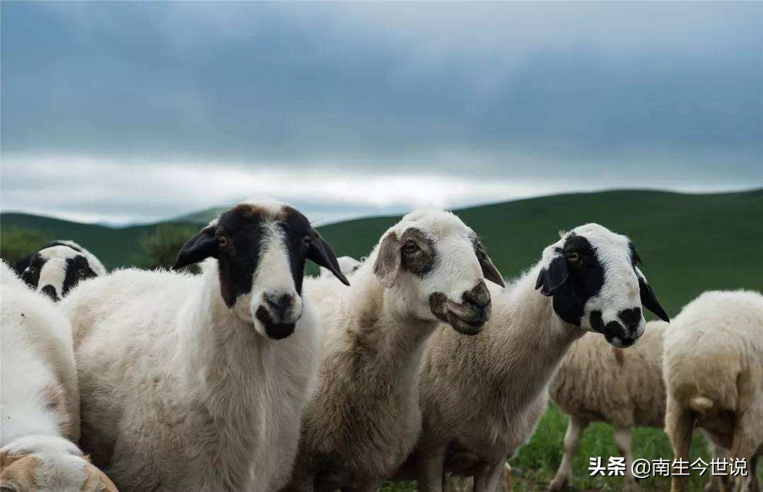 近年蒙古gdp增长,蒙古国gdp增速排名