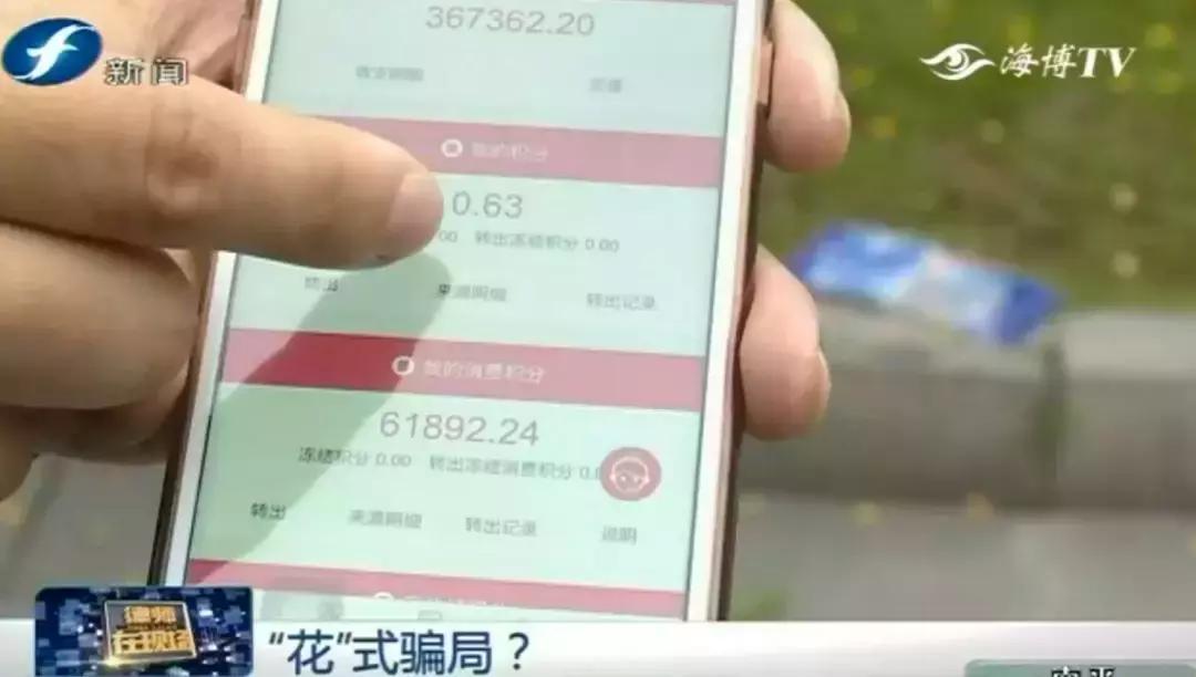 就是这些花……泉州有人为它花了几百万！