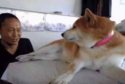 开心搞笑视频小哥哥,小哥哥搞笑视频gif