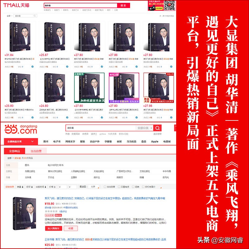 大显集团创始人胡华清,大显集团胡华清