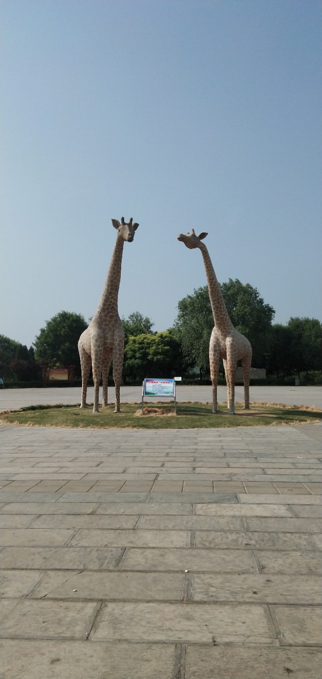 德州动植物园位置,德州动植物园免费吗