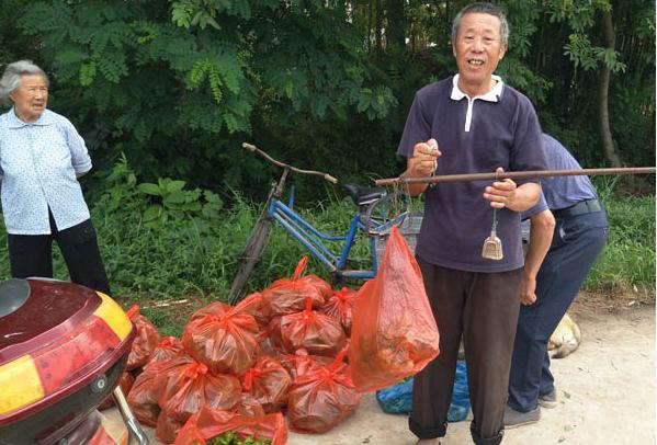 舒城：“苏方明这一轮蔬菜长势怎样”，牵动县领导赵强的心