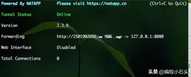 内网穿透服务器搭建教程,低成本搭建内网穿透服务器