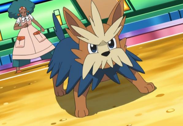 精灵宝可梦所有技能图鉴,宝可梦图鉴79只精灵