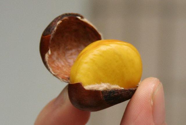 糖炒板栗怎么让它软糯,糖炒板栗不裂口的秘诀