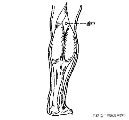 体内水湿怎么去除?按揉穴位即可解决!