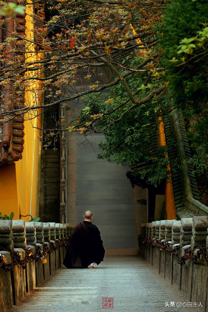 宋代高僧,宋代高僧圆通居纳禅师