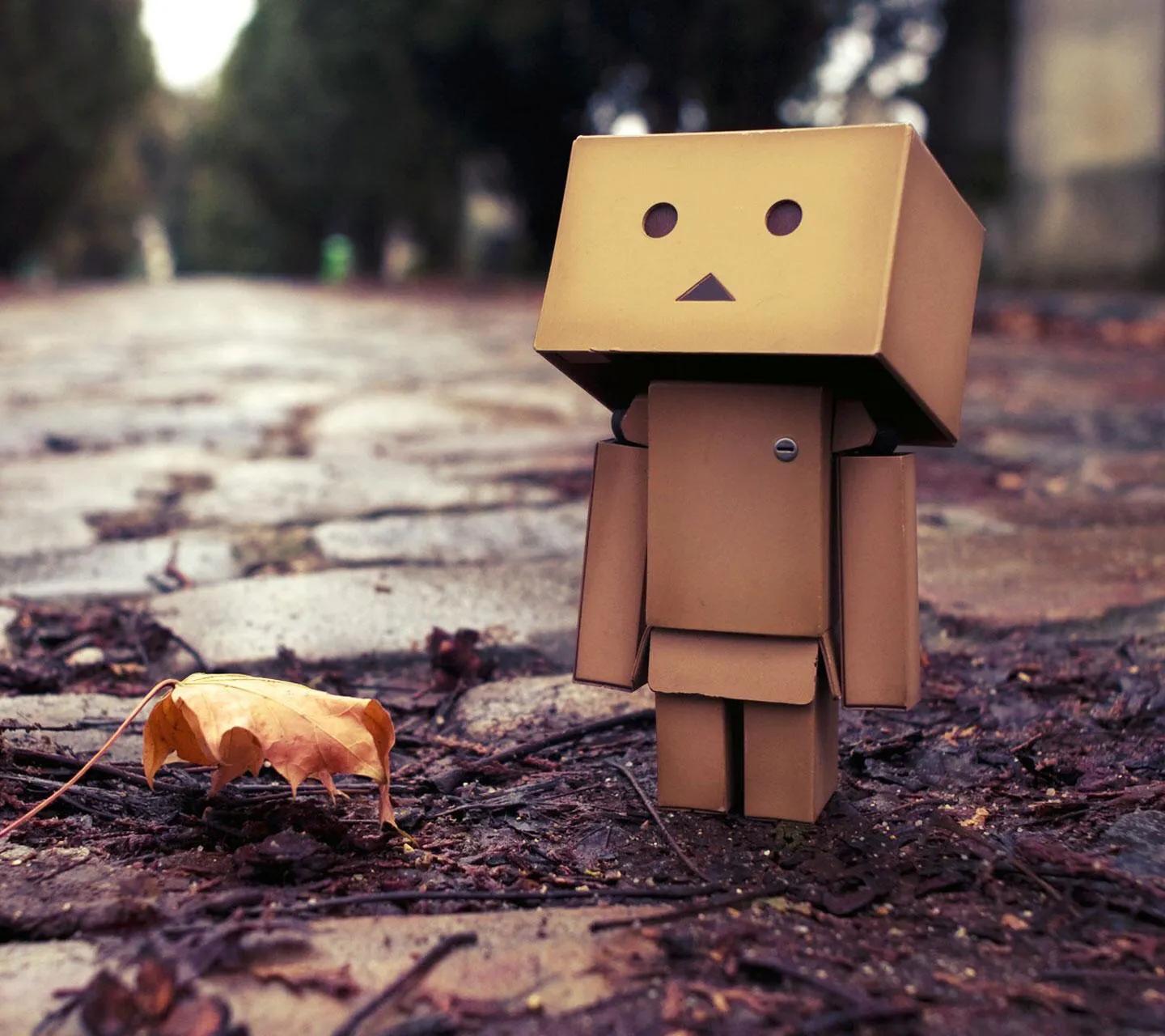 瀛斿瓙鍚嶈█鑻辨枃,鑻辨枃瀛楁瘝鍚嶈█