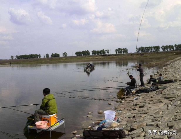 黑坑酱层太厚怎么钓浮鱼,钓黑坑的酱层怎么处理