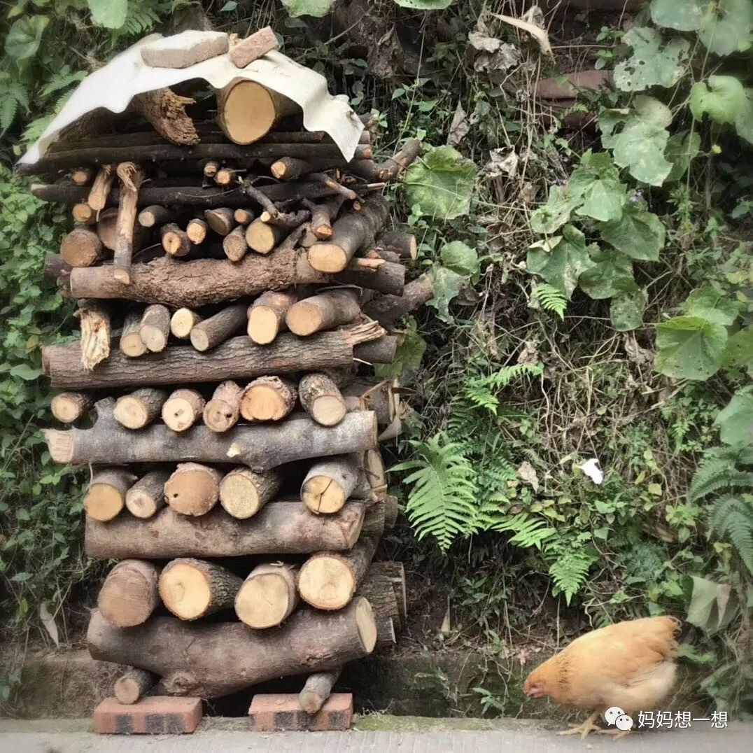 10岁左右的益智亲子玩具,适合在家玩的8种益智玩具推荐