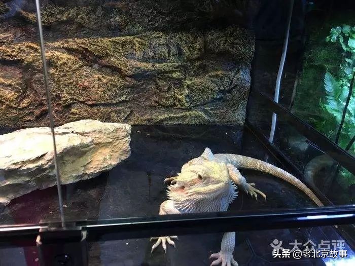 官园拆迁安置房,官园拆迁安置房拿房时间