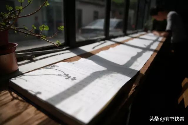 45岁徐静蕾简介,46岁徐静蕾水彩书法